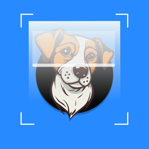 Dog Scanner: Breed Identify icon